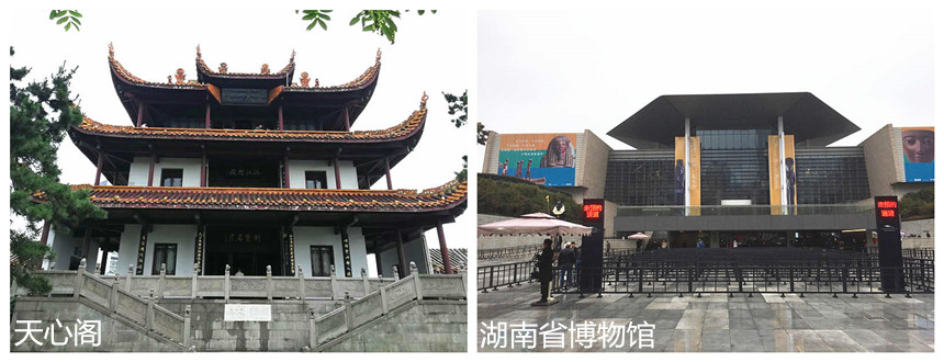 天心+省博物0109_副本.jpg