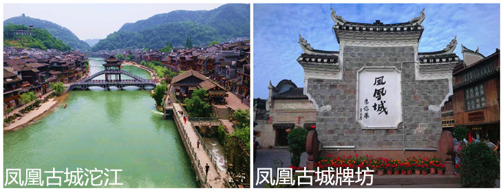 凤凰33_副本22.jpg