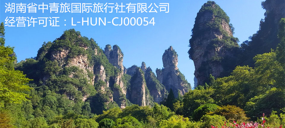 微信或电话13755186635，座机：0731-89910618