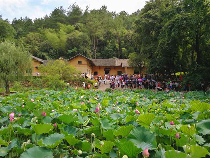 16人小团）伟人毛主席故里-韶山+刘少奇故里+滴水洞 纯玩一日游