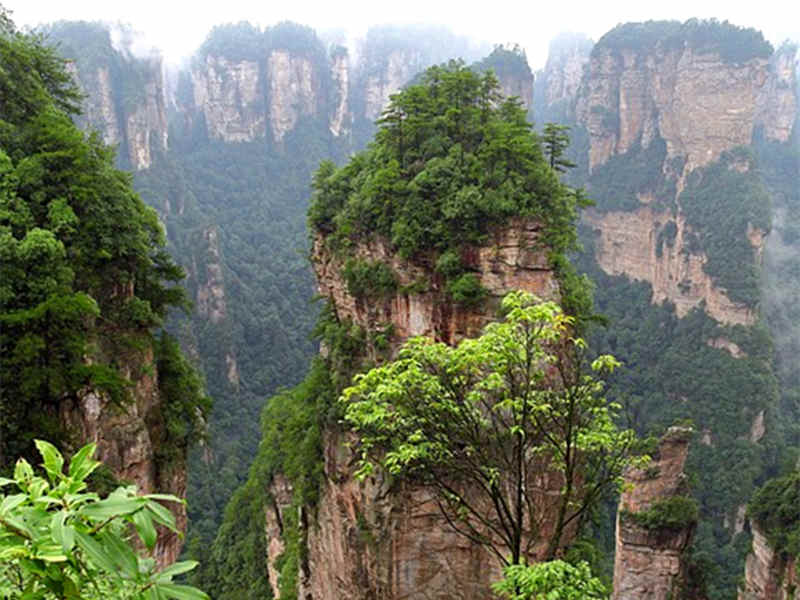 张家界国家森林公园+大峡谷玻璃桥+天门山+土司城 品质3日游