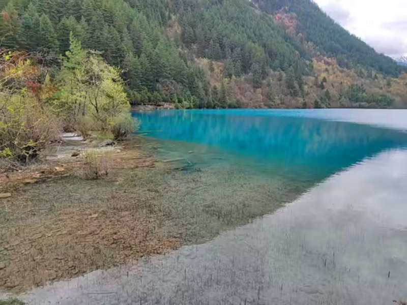九寨恋歌】成都/九寨/黄龙/熊猫 奎星楼街 纯玩6日游