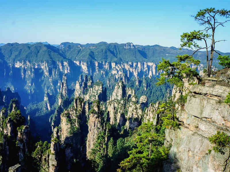 毛主席故里韶山+长沙橘子洲+张家界+天门山+芙蓉镇+凤凰古城 6日游